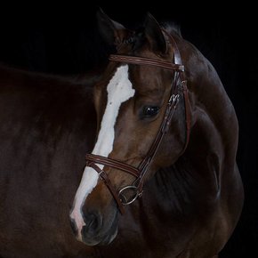 709-q1-bridle-with-flash-noseband-cow-leather